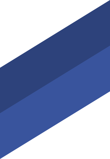 vector