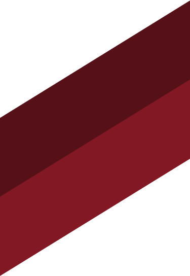 vector